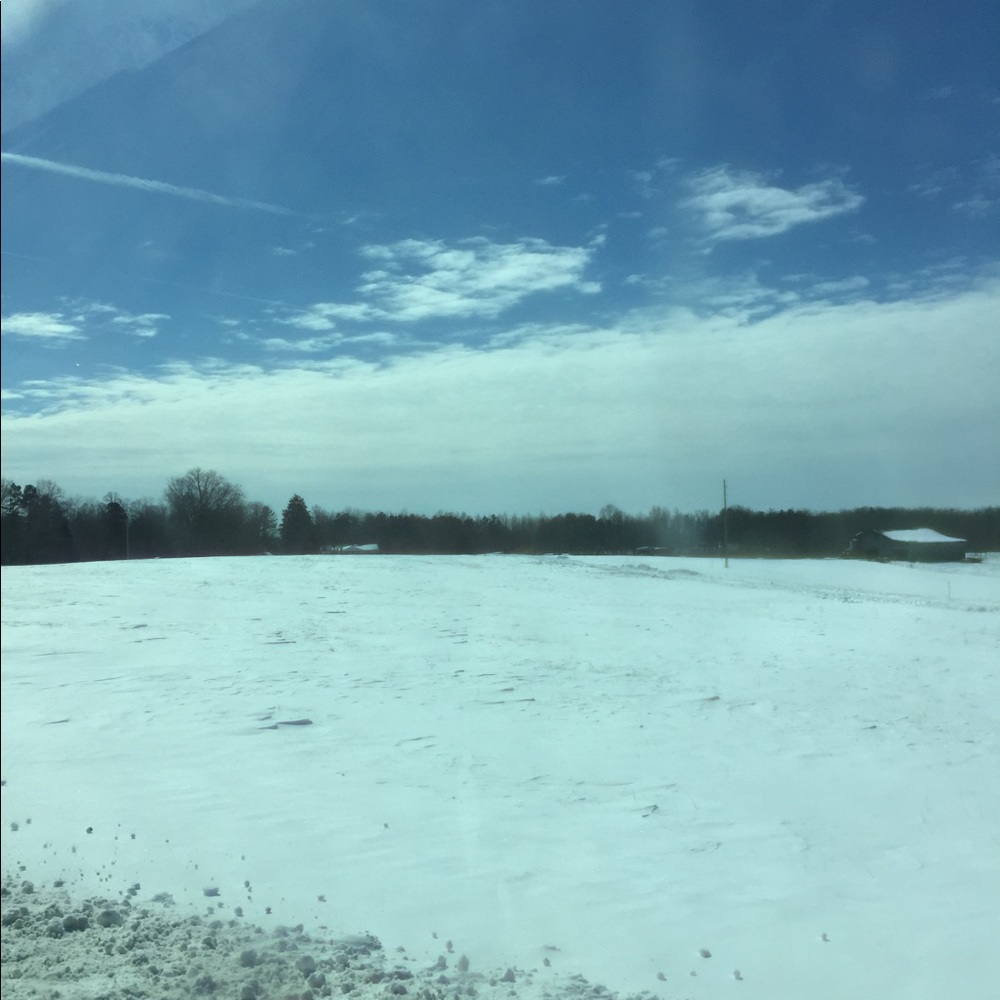 Meet your Posher, Shirrie